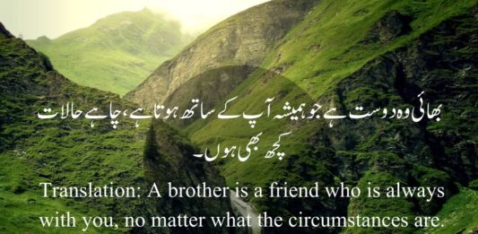 Brother Quotes in Urdu