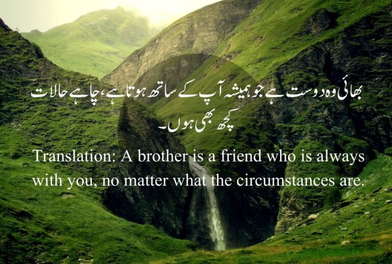 Brother Quotes in Urdu