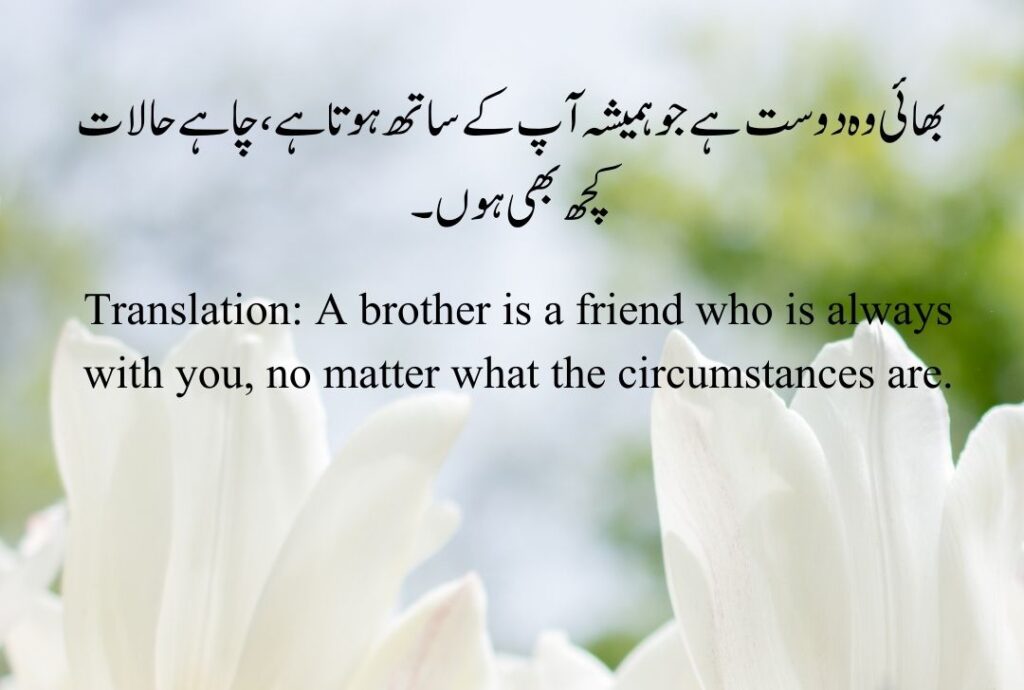 Brother Quotes in Urdu