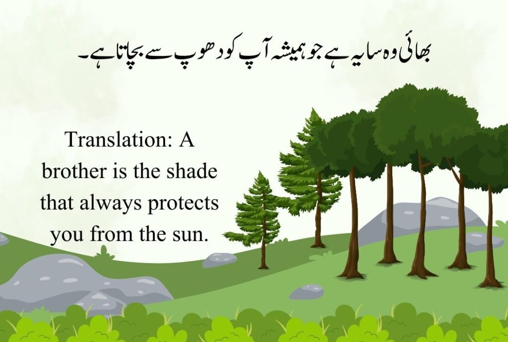 Brother Quotes in Urdu