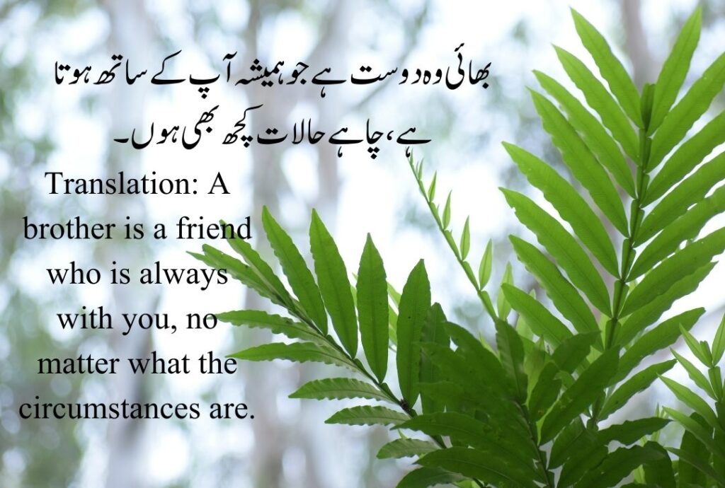 Brother Quotes in Urdu