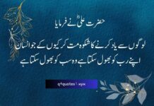 50 Best Mola Ali Quotes in Urdu for Faith Guidance 50 Best Mola Ali Quotes in Urdu for Faith Guidance