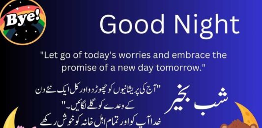 Good Night Quotes