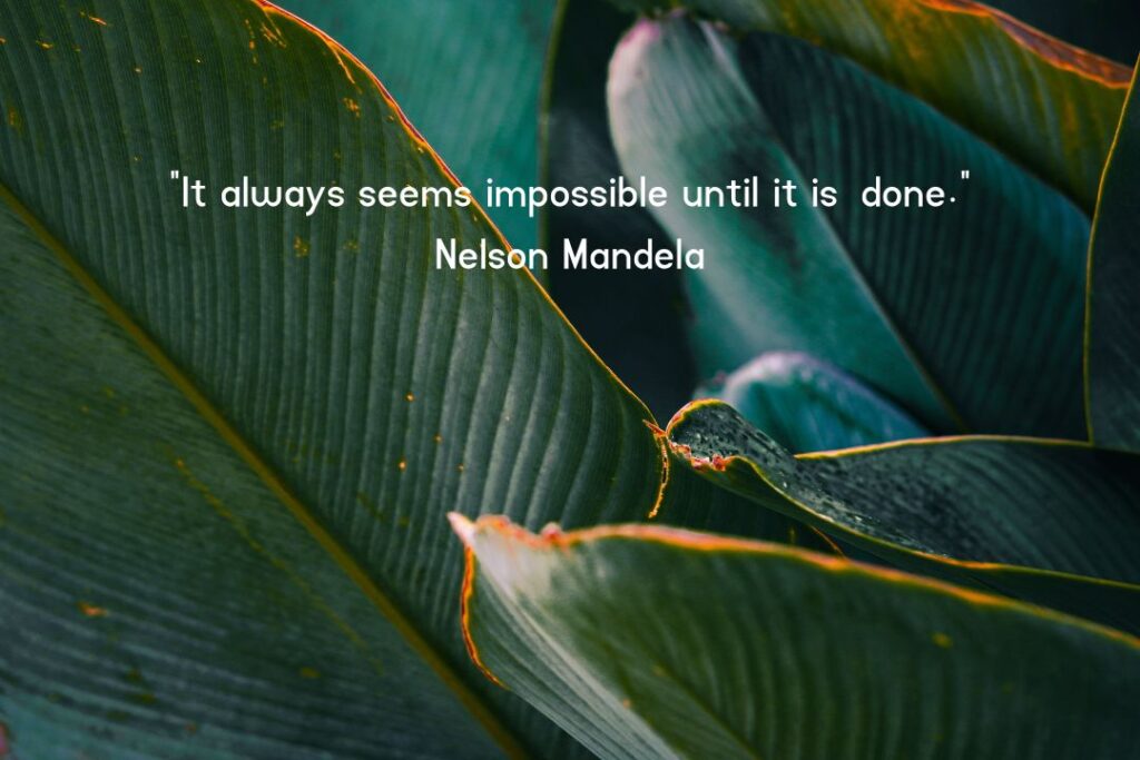 One Liner Simple Life Quotes