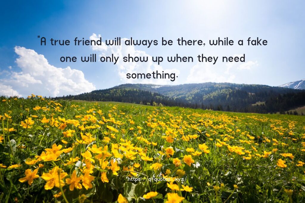 Fake Friends Quotes