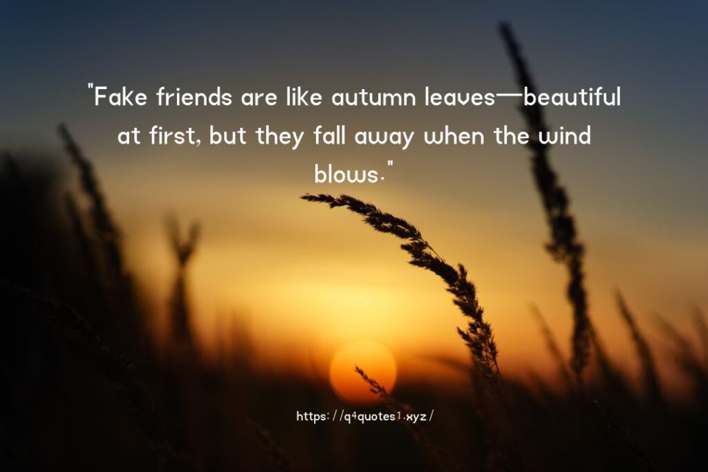 Fake Friends Quotes