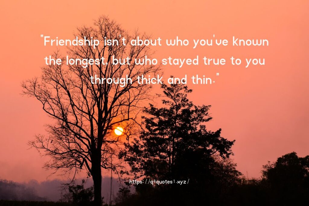 Fake Friends Quotes