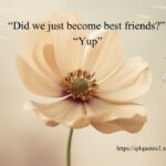 50 Top Step Brothers Quotes That will Make You Laugh 50 Top Step Brothers Quotes That will Make You Laugh