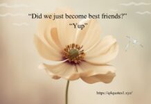 50 Top Step Brothers Quotes That will Make You Laugh 50 Top Step Brothers Quotes That will Make You Laugh