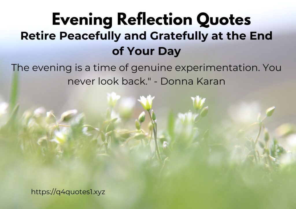 250 Powerful Quotes of the Day to Spark Motivation